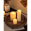 Hanobe Candle Plate Holder Tray: Round Wood Decorative Candle Plate - Rustic Farmhouse CoffeeTable Decor - Tealight Pillar Trays for Home Decor (Distressed)