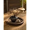 Hanobe Candle Plate Holder Tray: Round Wood Decorative Candle Plate - Rustic Farmhouse CoffeeTable Decor - Tealight Pillar Trays for Home Decor (Distressed)