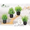 Der Rose Fake Plants 4 Packs Artificial Plants Small Faux Plants Black Bathroom Accessories for Halloween Bathroom Home Kitchen Coffee Table Office Desk Decor Indoor