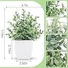 Der Rose Graduation Gifts 4 Pack Fake Plants Mini Artificial Greenery Potted Plants for Home Decor Indoor Office Table Room Farmhouse Bathroom Decor