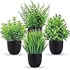 Der Rose Fake Plants 4 Packs Artificial Plants Small Faux Plants Black Bathroom Accessories for Halloween Bathroom Home Kitchen Coffee Table Office Desk Decor Indoor