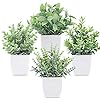 Der Rose Graduation Gifts 4 Pack Fake Plants Mini Artificial Greenery Potted Plants for Home Decor Indoor Office Table Room Farmhouse Bathroom Decor