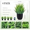 Der Rose Fake Plants 4 Packs Artificial Plants Small Faux Plants Black Bathroom Accessories for Halloween Bathroom Home Kitchen Coffee Table Office Desk Decor Indoor