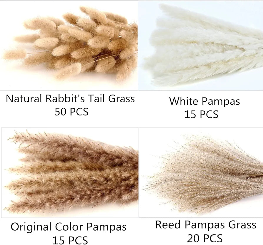 100-Stem Dried Pampas Grass & Bunny Tails Bouquet - Boho Rustic Home Decor