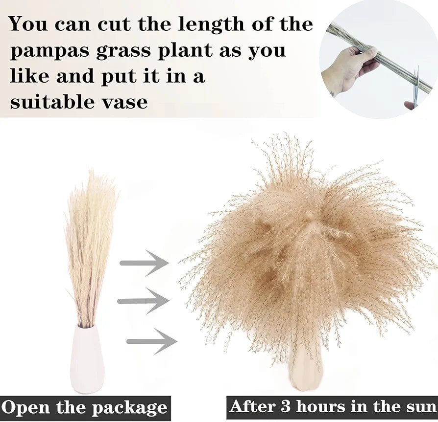 100-Stem Dried Pampas Grass & Bunny Tails Bouquet - Boho Rustic Home Decor