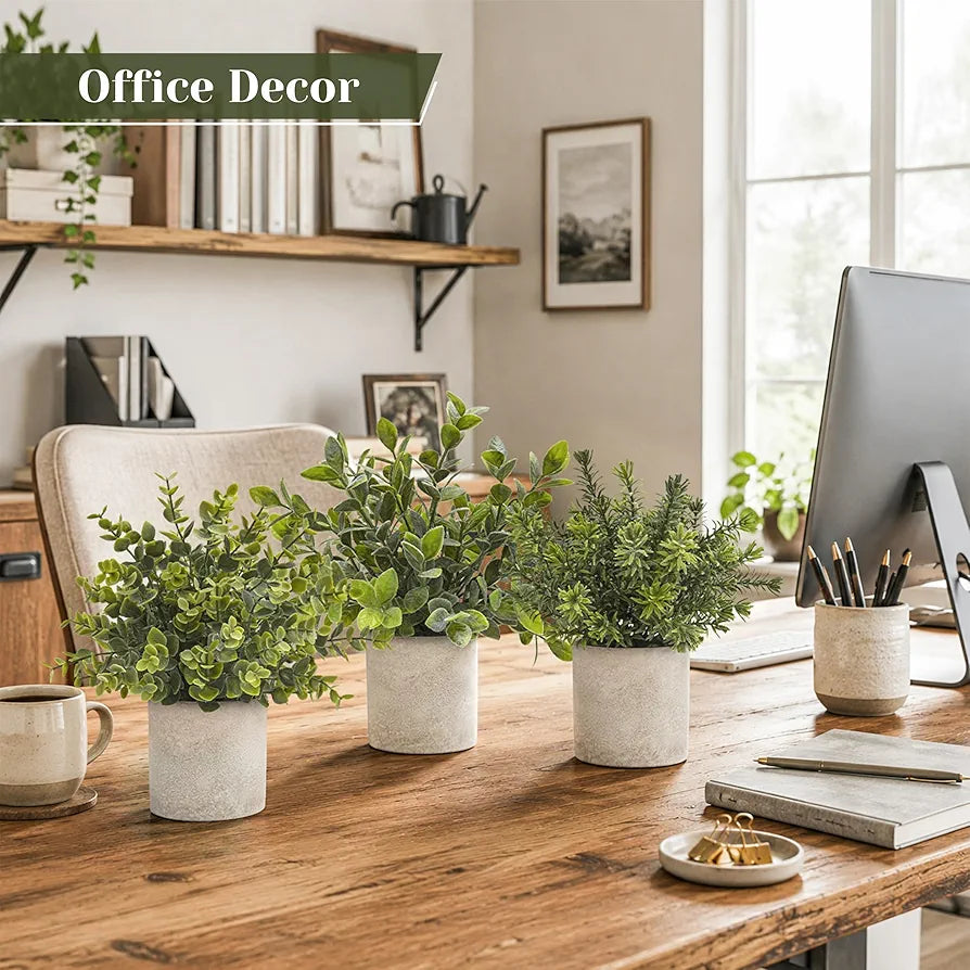 Der Rose 2026 Graduation Gifts Set for Her, 3 Pack Mini Potted Fake Plants Artificial Plastic Eucalyptus Plants Topiaries for Home Office Desk Farmhouse Shelf Room Bathroom Decor