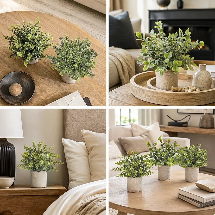 Der Rose 2026 Graduation Gifts Set for Her, 3 Pack Mini Potted Fake Plants Artificial Plastic Eucalyptus Plants Topiaries for Home Office Desk Farmhouse Shelf Room Bathroom Decor