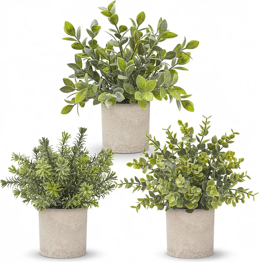 Der Rose 2026 Graduation Gifts Set for Her, 3 Pack Mini Potted Fake Plants Artificial Plastic Eucalyptus Plants Topiaries for Home Office Desk Farmhouse Shelf Room Bathroom Decor