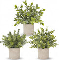 Der Rose 2026 Graduation Gifts Set for Her, 3 Pack Mini Potted Fake Plants Artificial Plastic Eucalyptus Plants Topiaries for Home Office Desk Farmhouse Shelf Room Bathroom Decor