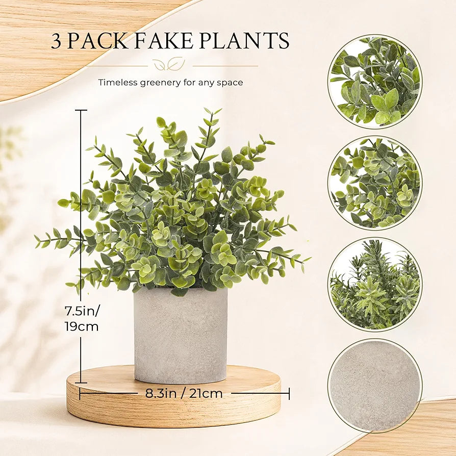 Der Rose 2026 Graduation Gifts Set for Her, 3 Pack Mini Potted Fake Plants Artificial Plastic Eucalyptus Plants Topiaries for Home Office Desk Farmhouse Shelf Room Bathroom Decor
